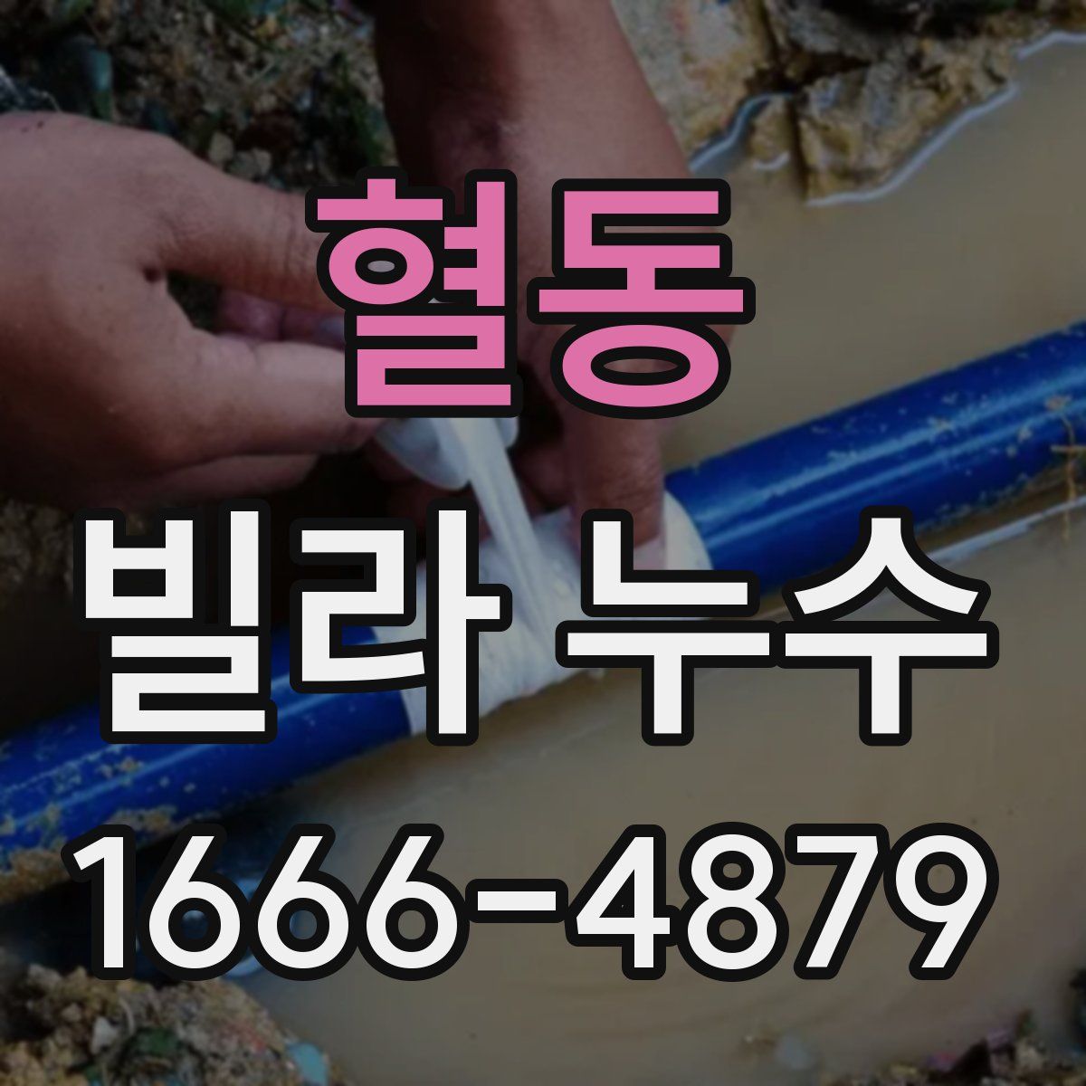 혈동 빌라 누수