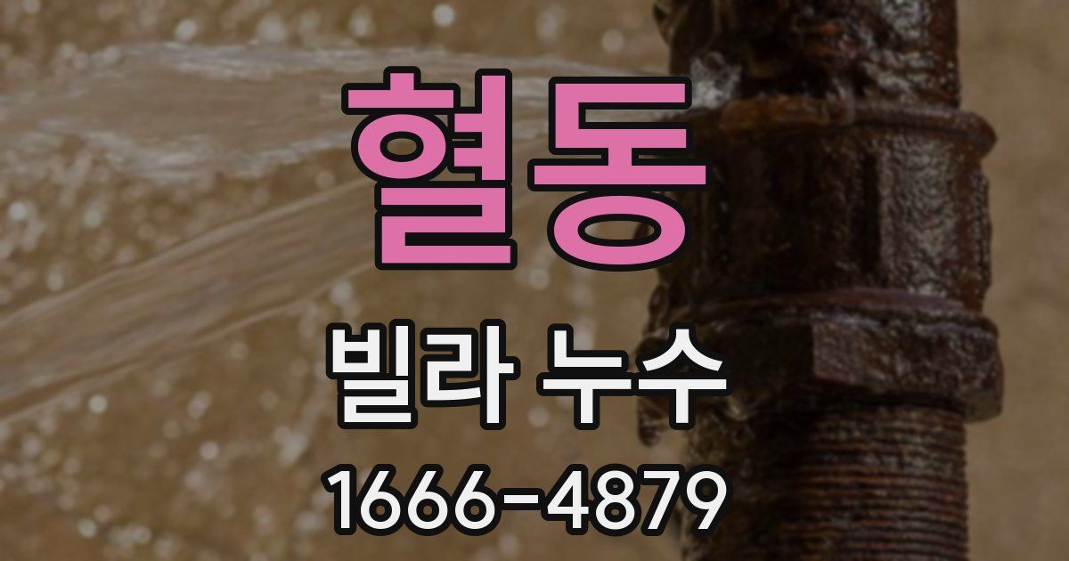 혈동 빌라 누수