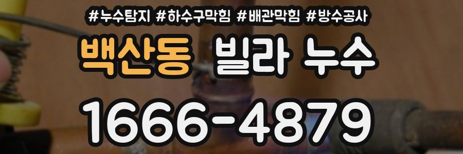 백산동 빌라 누수