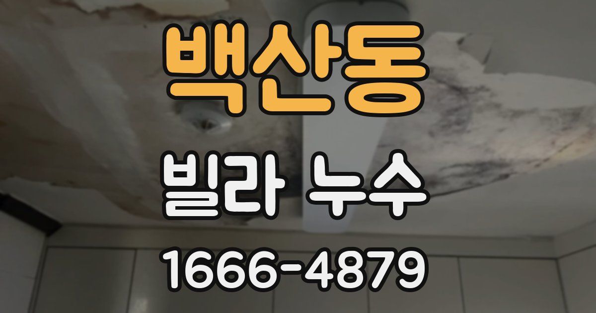 백산동 빌라 누수
