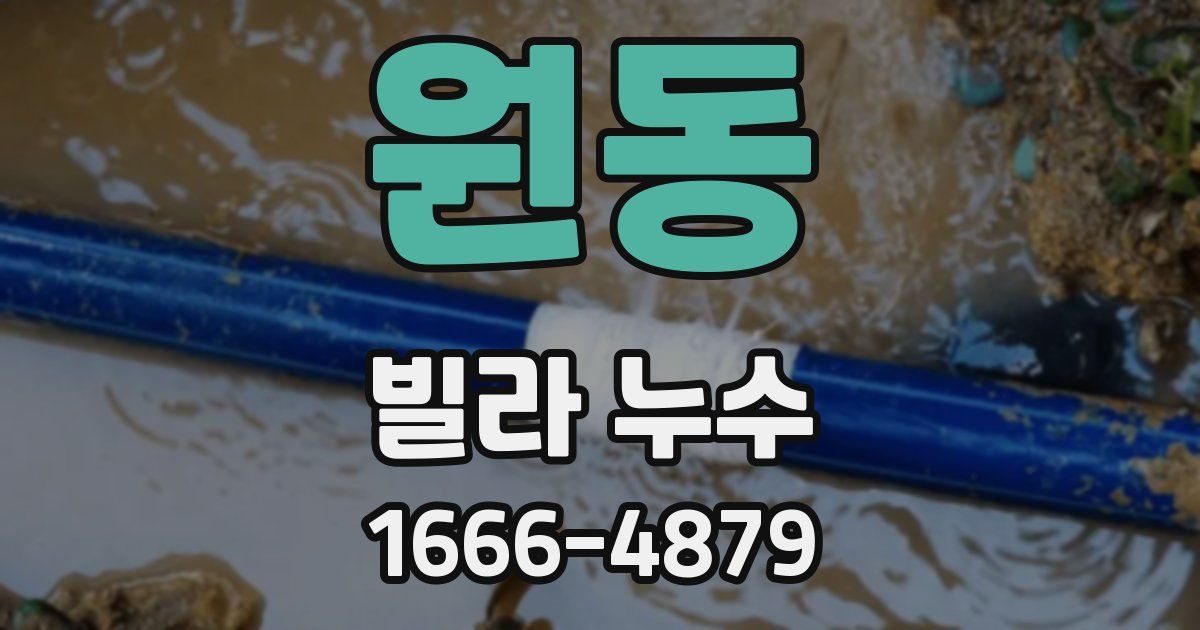 원동 빌라 누수