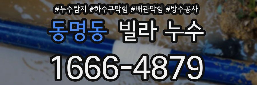 동명동 빌라 누수
