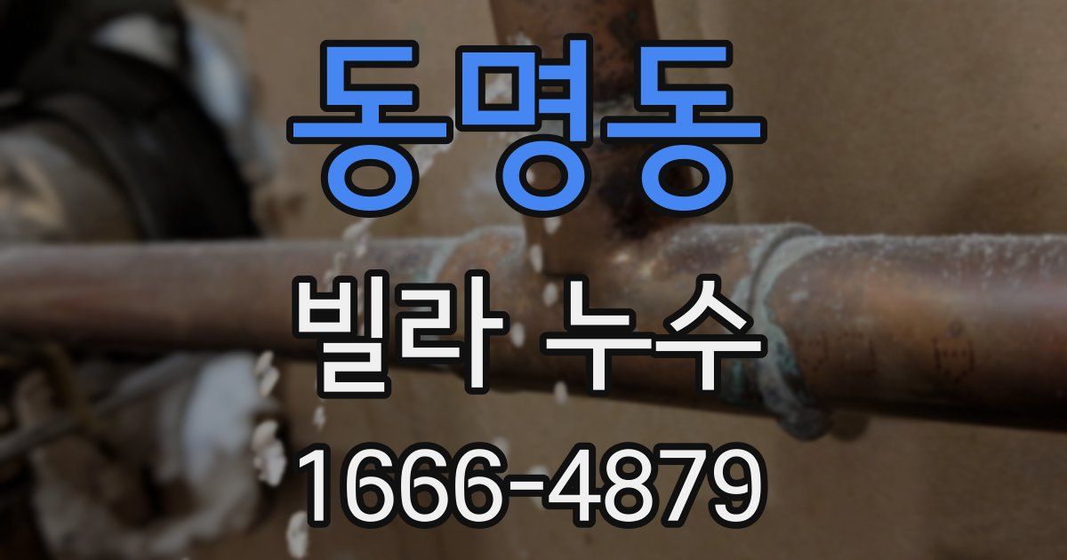 동명동 빌라 누수