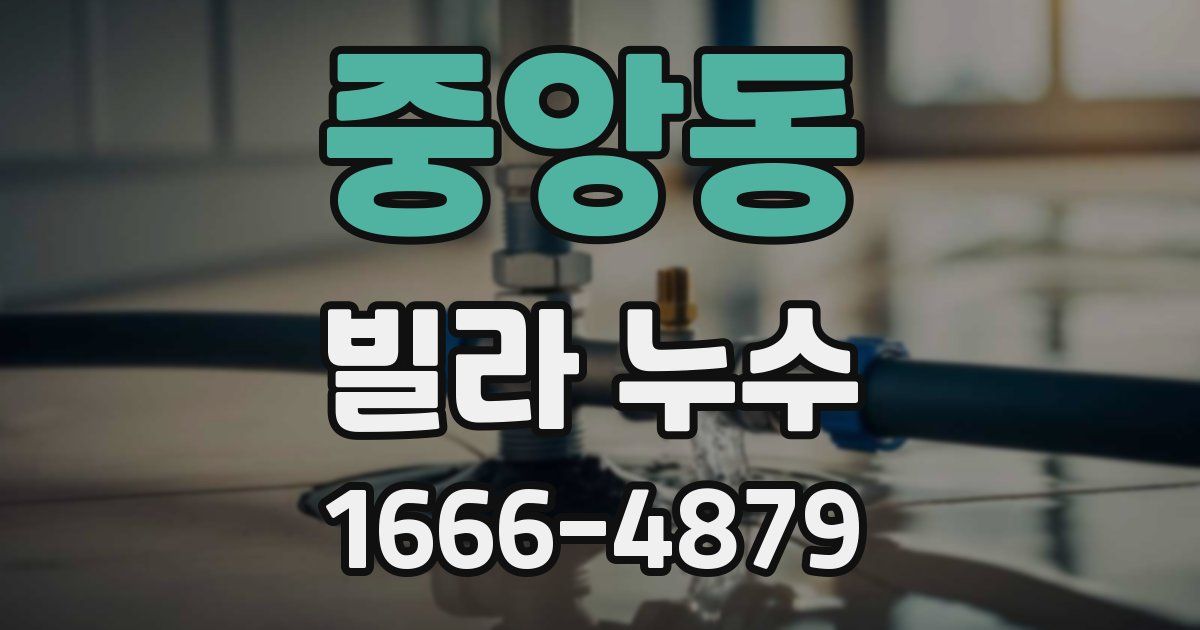 중앙동 빌라 누수