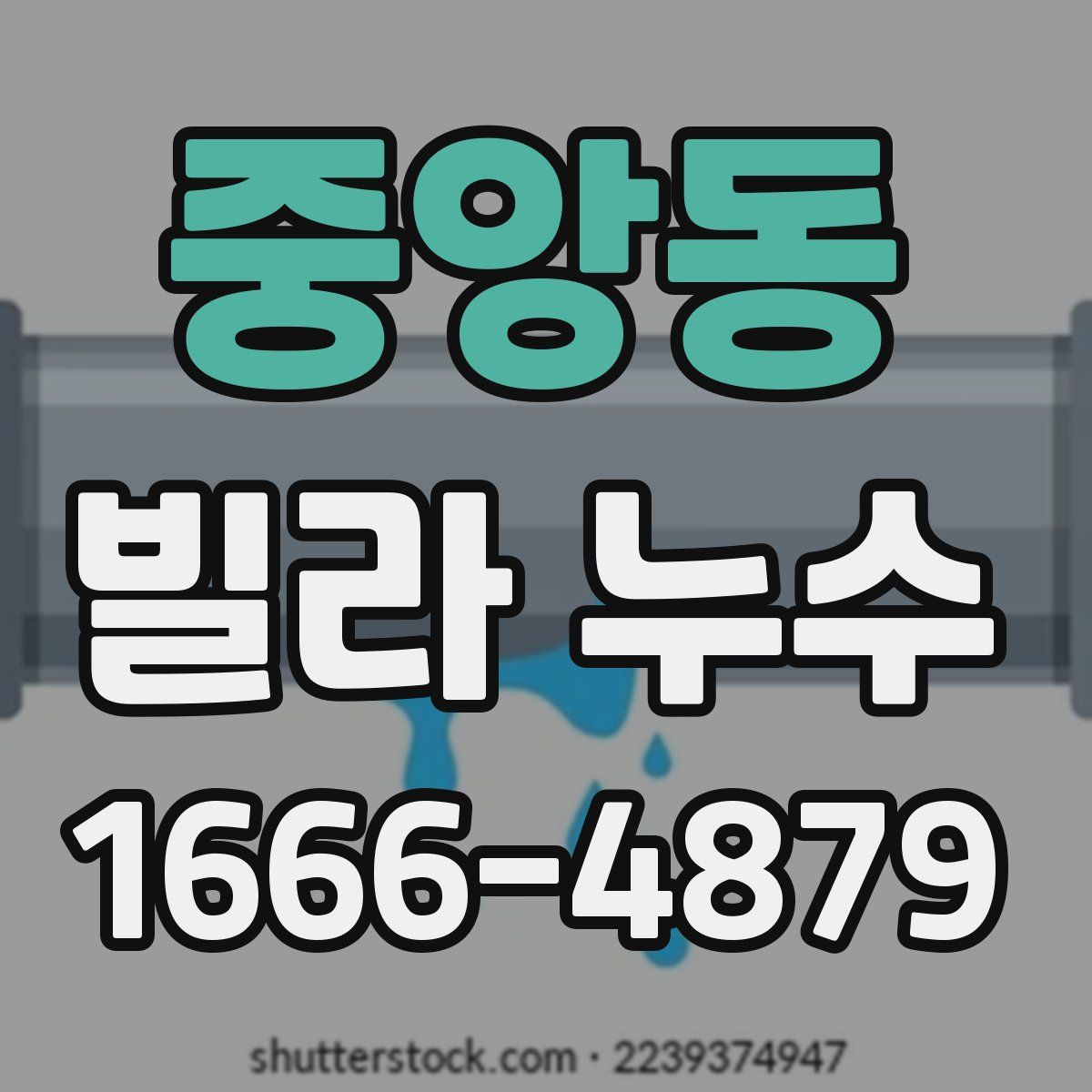 중앙동 빌라 누수