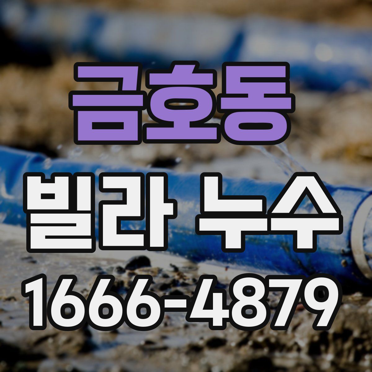 금호동 빌라 누수
