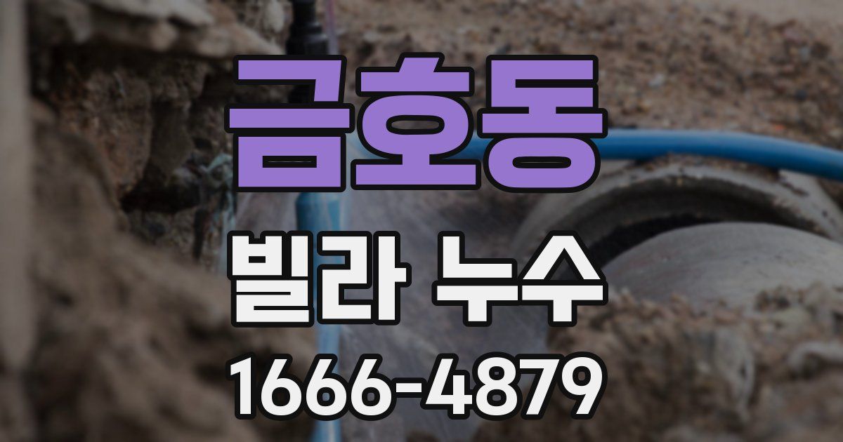 금호동 빌라 누수