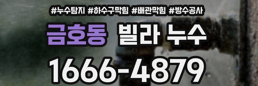 금호동 빌라 누수