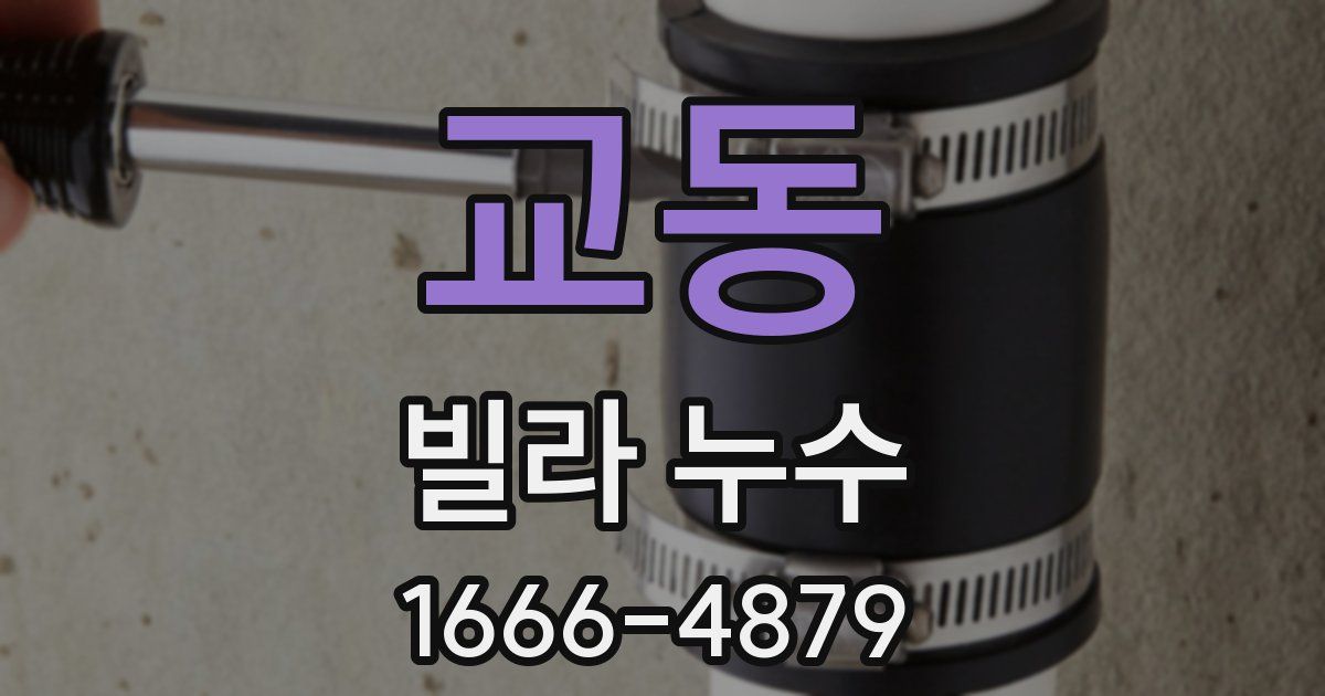 교동 빌라 누수