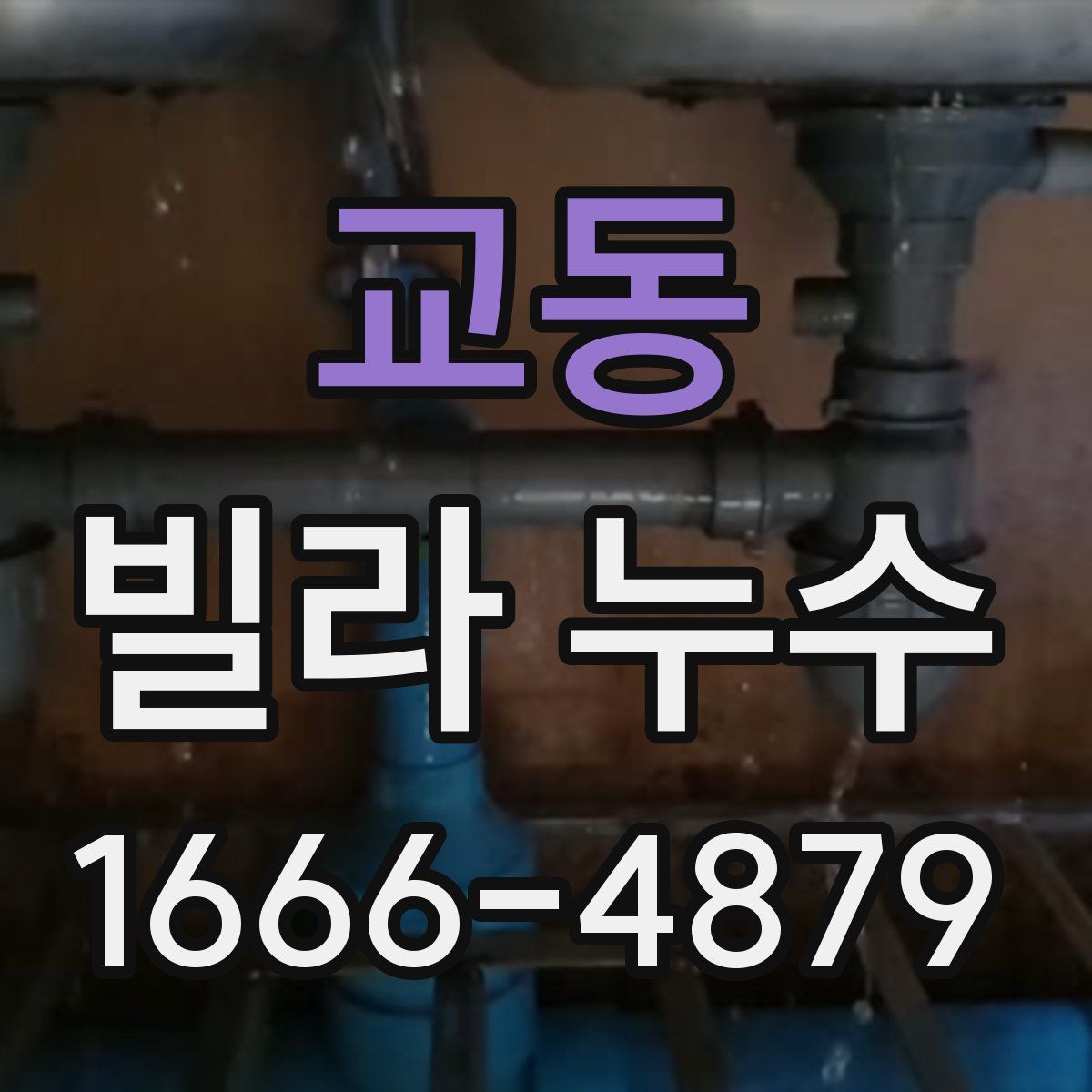 교동 빌라 누수