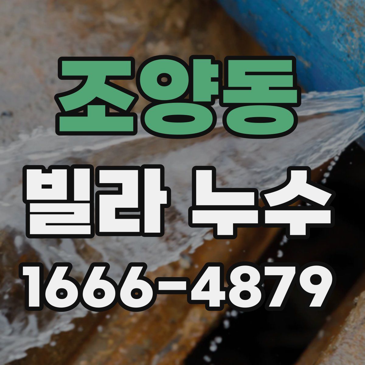 조양동 빌라 누수