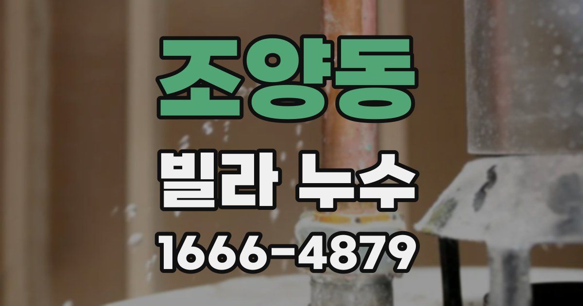 조양동 빌라 누수