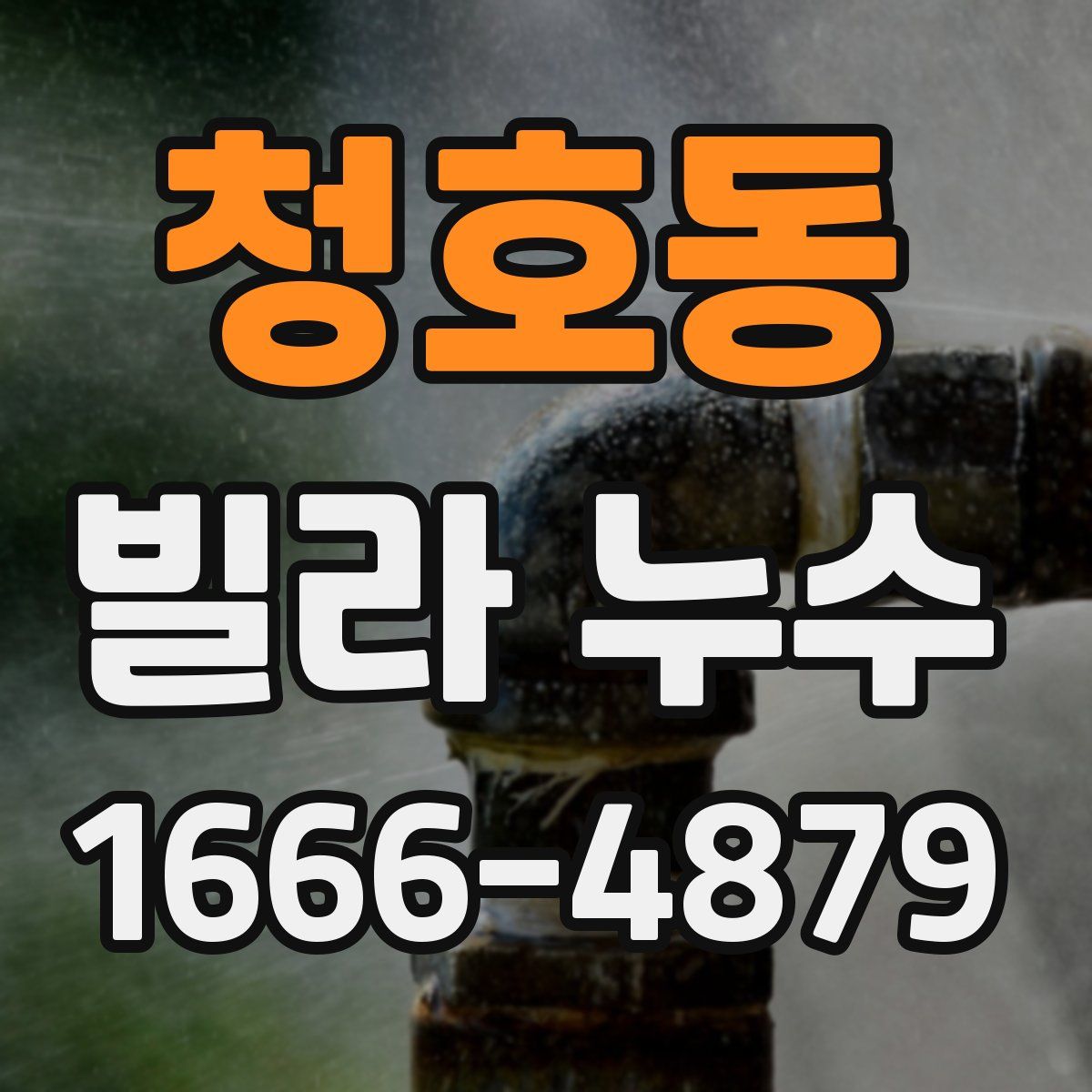 청호동 빌라 누수