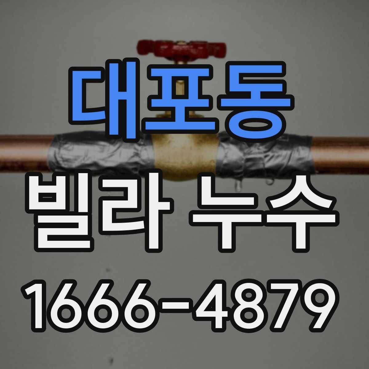 대포동 빌라 누수