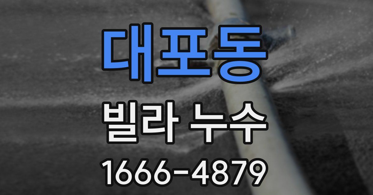 대포동 빌라 누수