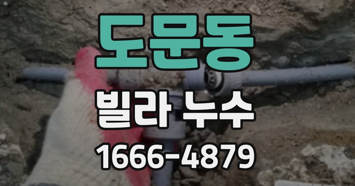 도문동 빌라 누수