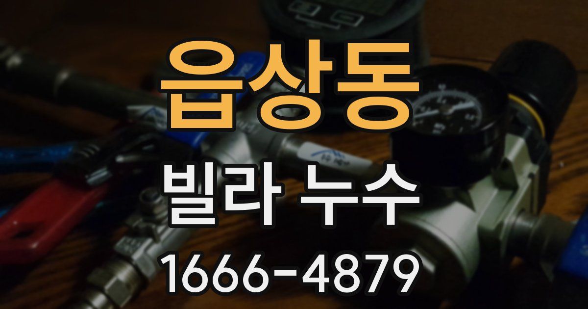 읍상동 빌라 누수