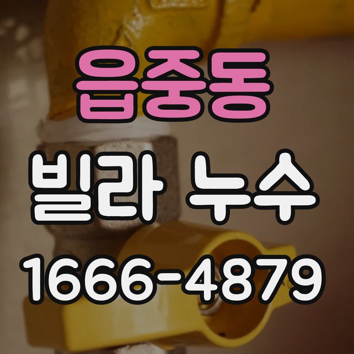 읍중동 빌라 누수