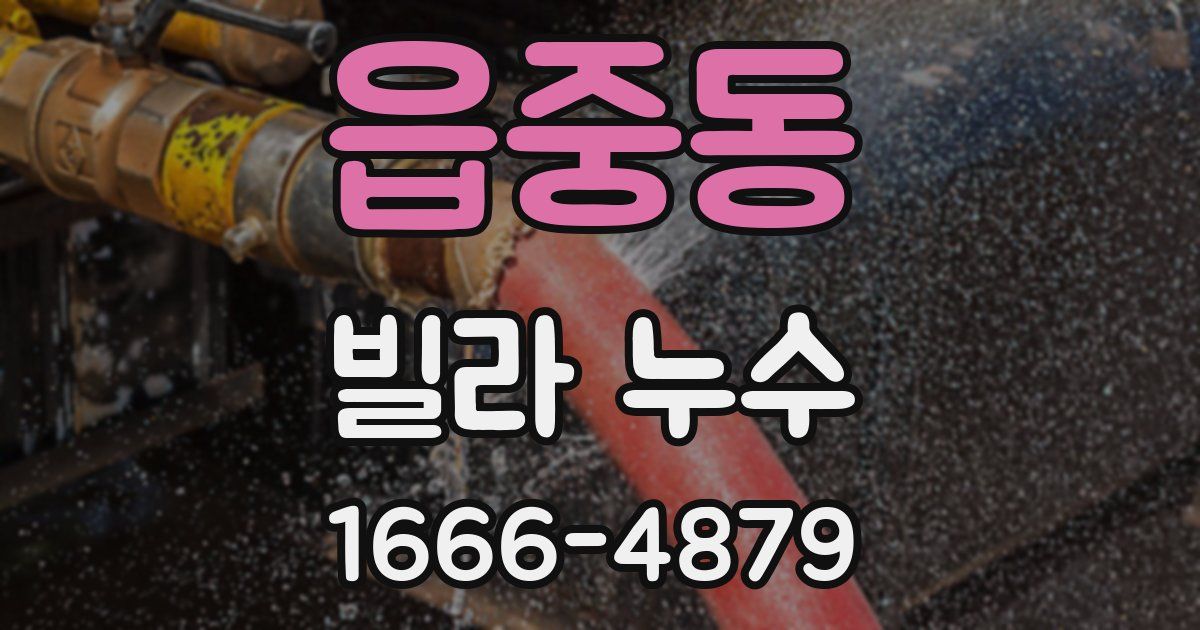 읍중동 빌라 누수