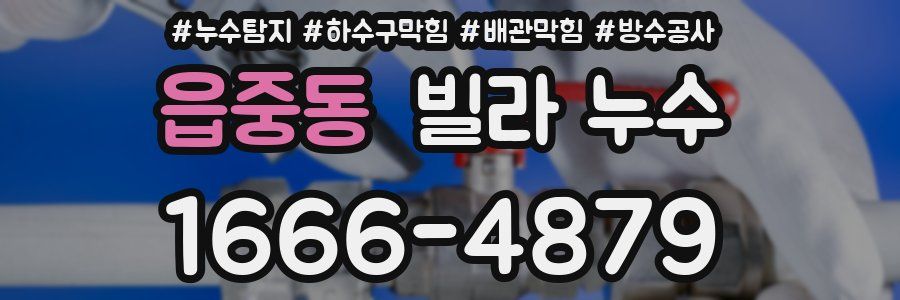 읍중동 빌라 누수