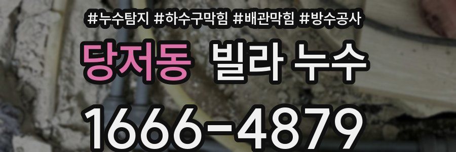 당저동 빌라 누수