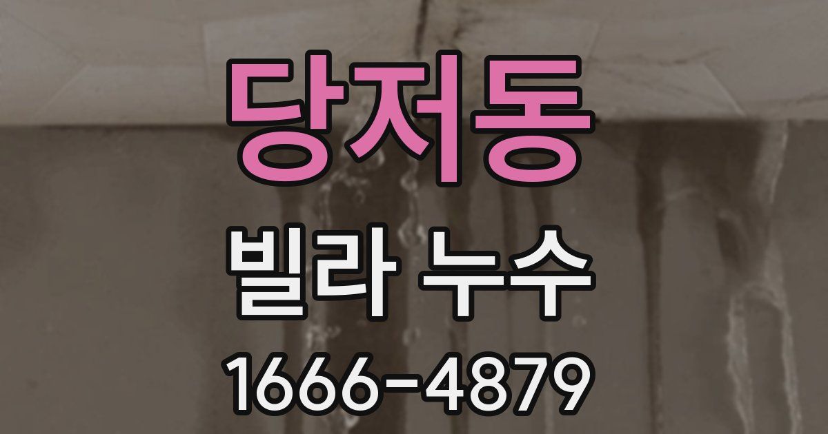 당저동 빌라 누수