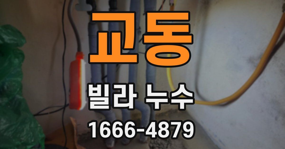 교동 빌라 누수