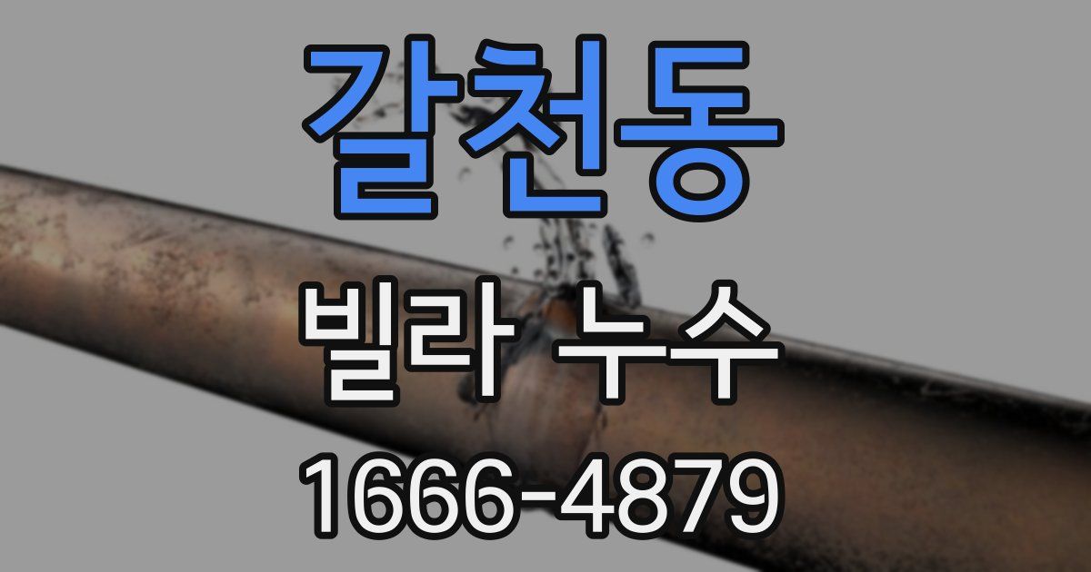 갈천동 빌라 누수