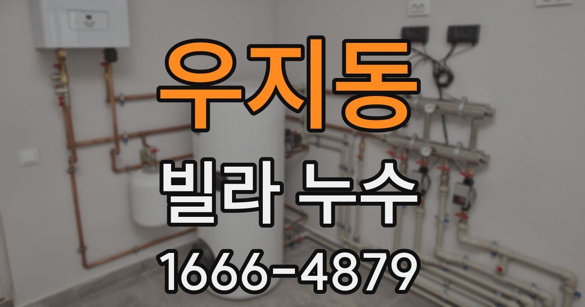 우지동 빌라 누수