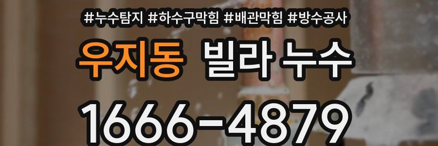 우지동 빌라 누수