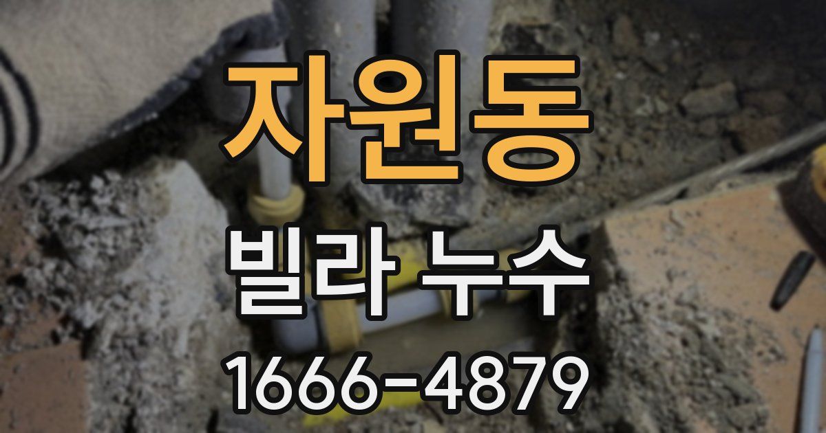 자원동 빌라 누수