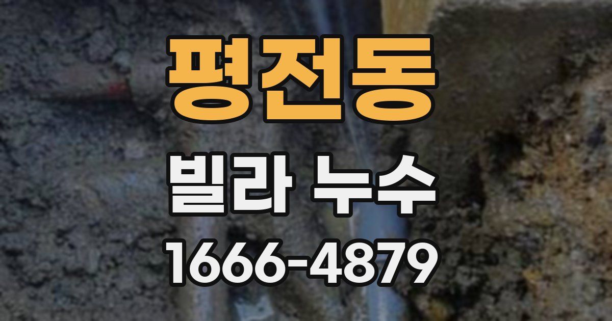 평전동 빌라 누수