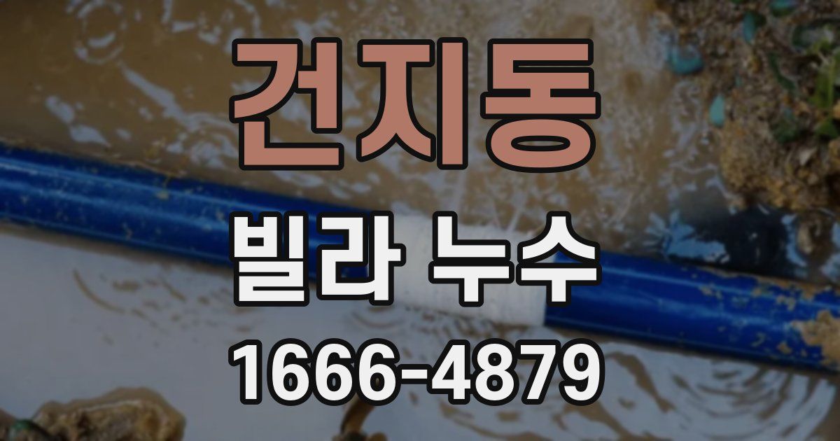 건지동 빌라 누수