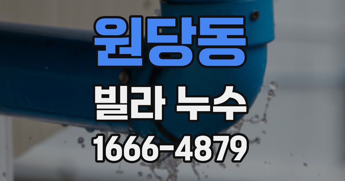 원당동 빌라 누수