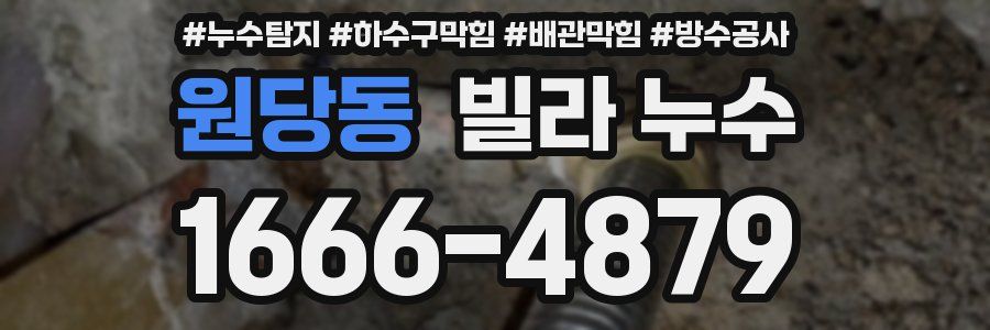 원당동 빌라 누수