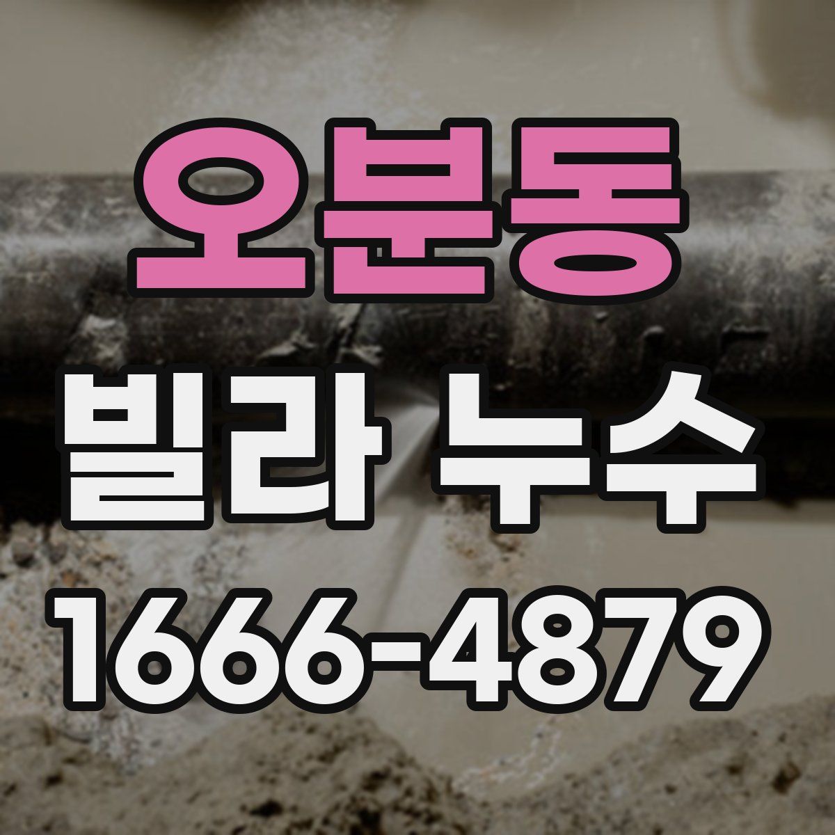 오분동 빌라 누수