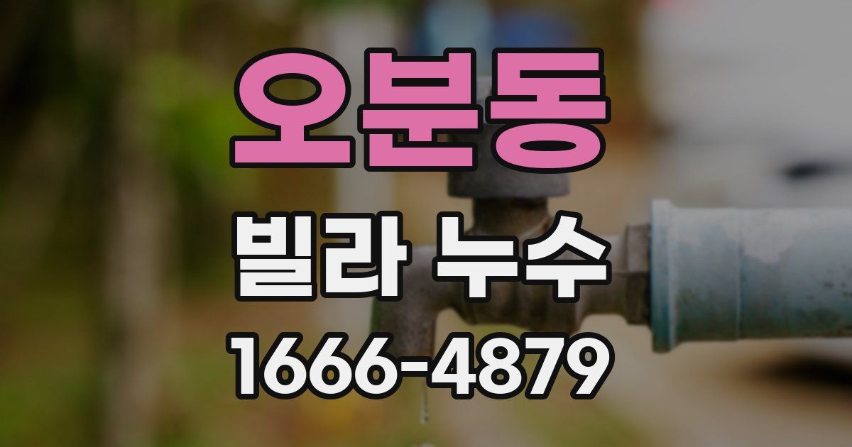 오분동 빌라 누수
