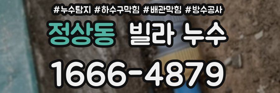 정상동 빌라 누수