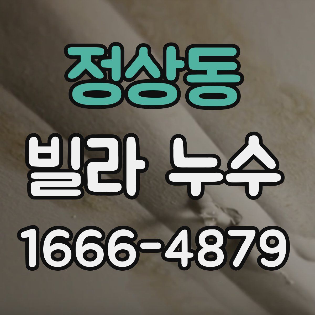 정상동 빌라 누수