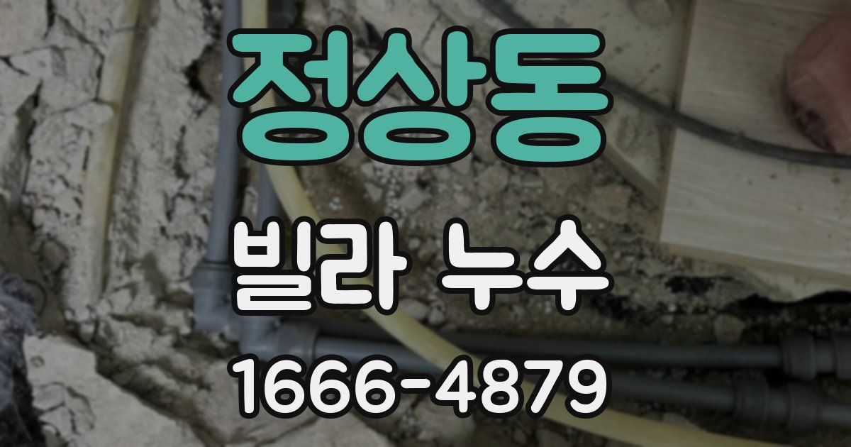 정상동 빌라 누수