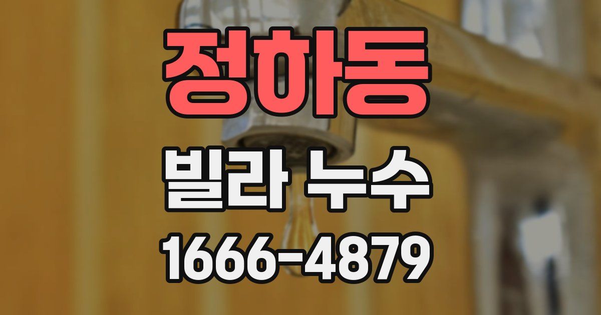 정하동 빌라 누수
