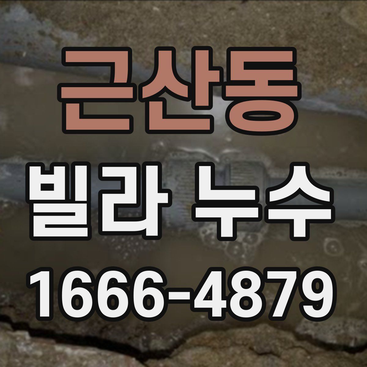 근산동 빌라 누수
