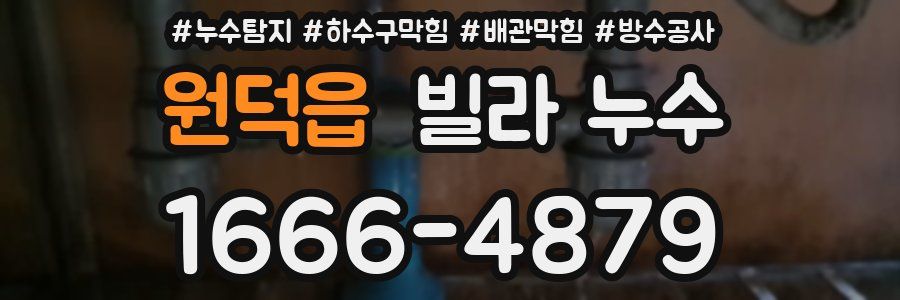 원덕읍 빌라 누수