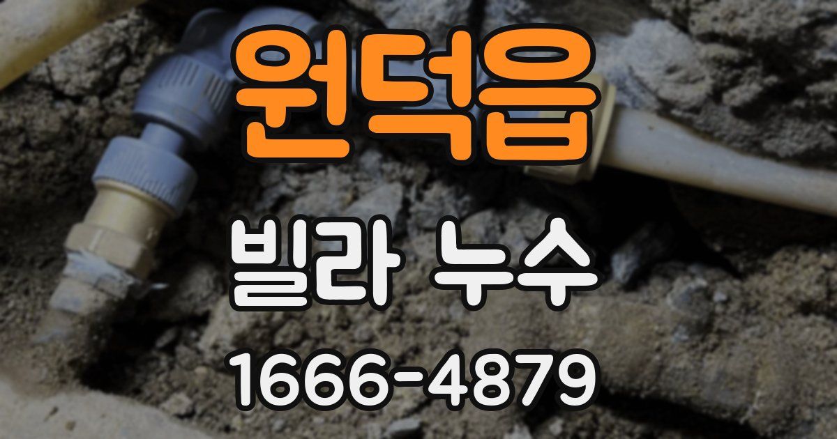 원덕읍 빌라 누수