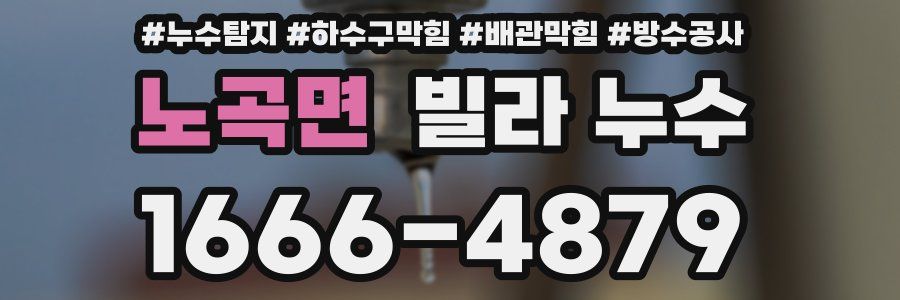 노곡면 빌라 누수