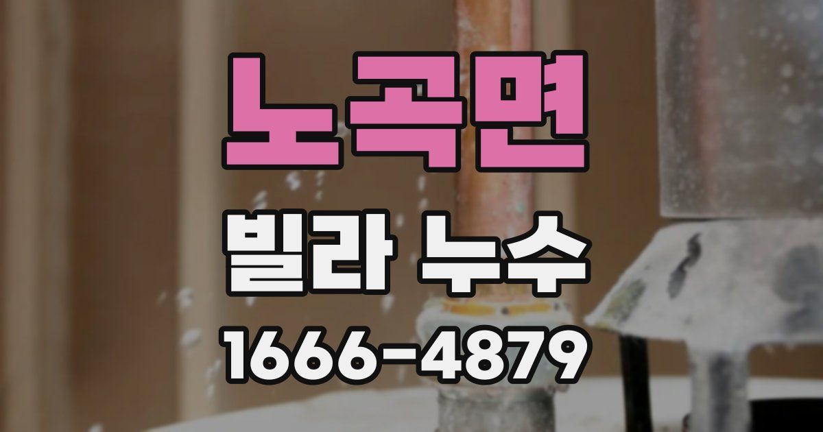 노곡면 빌라 누수