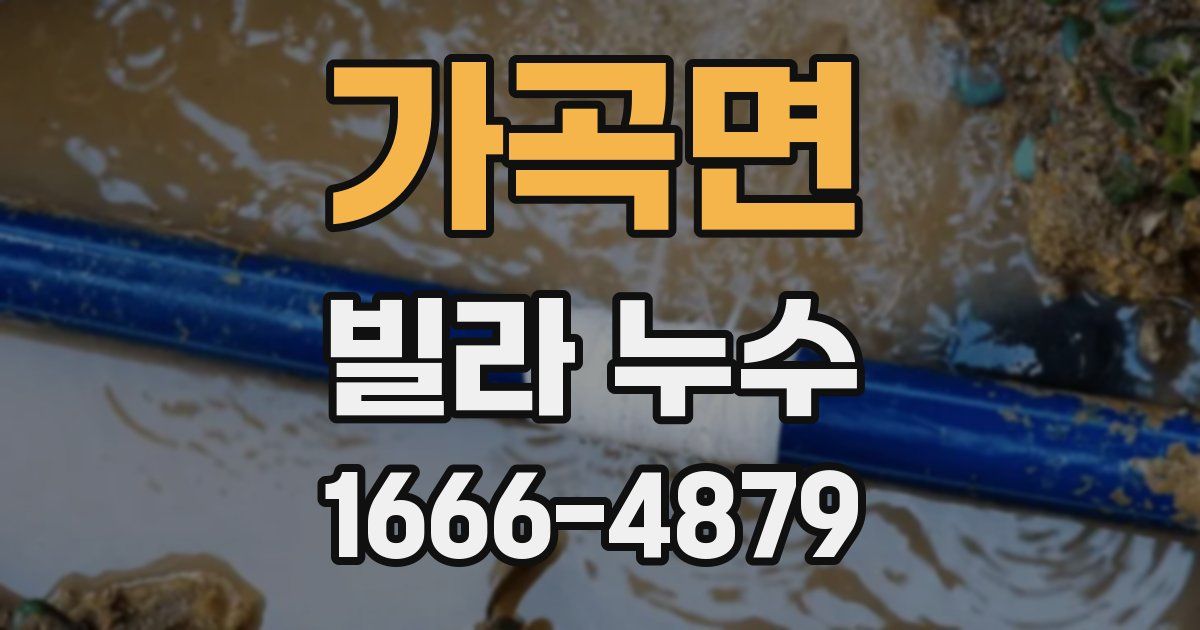 가곡면 빌라 누수
