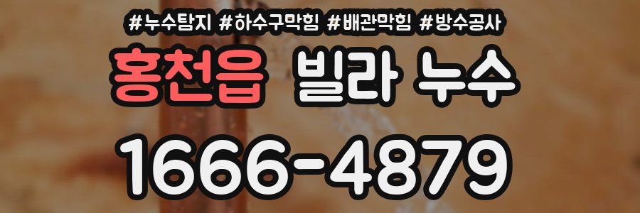 홍천읍 빌라 누수