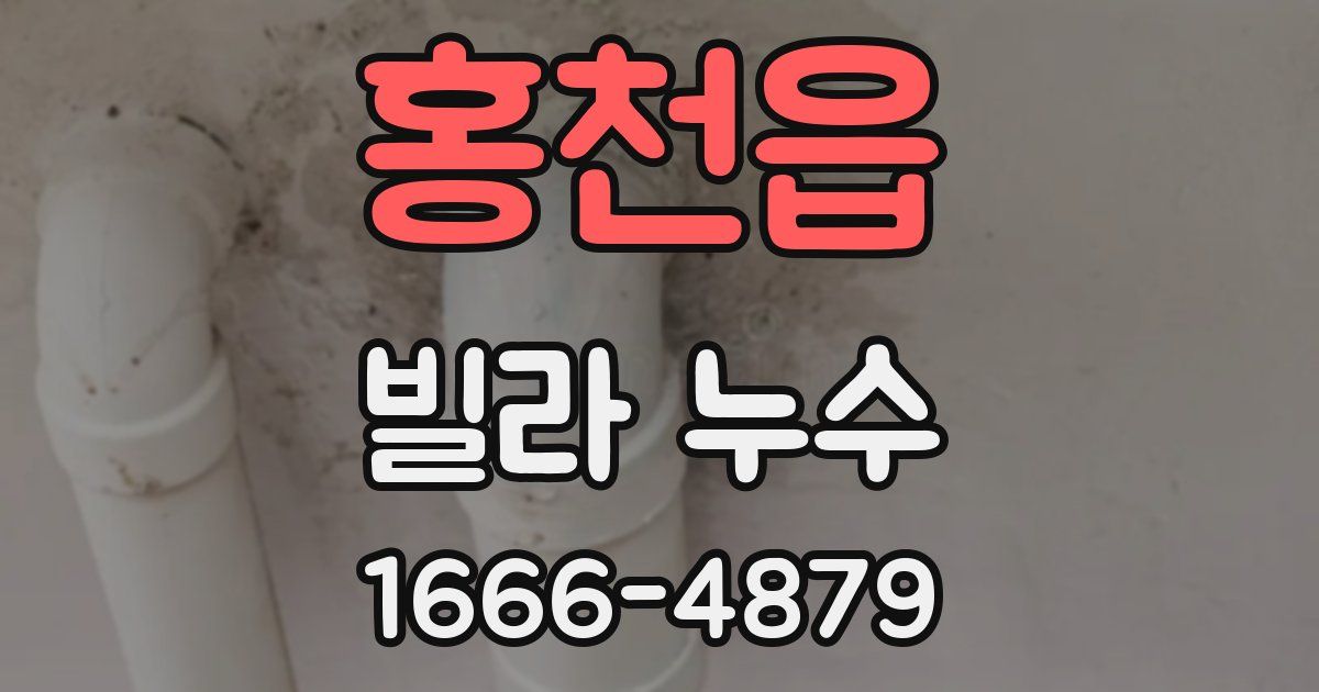 홍천읍 빌라 누수