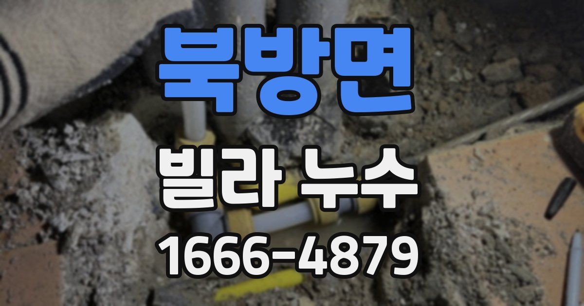 북방면 빌라 누수